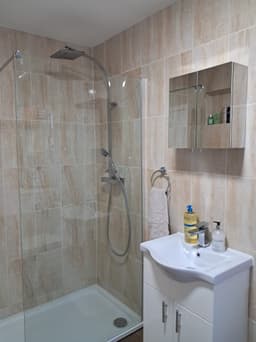 Downstairs bathroom – sink and mirror